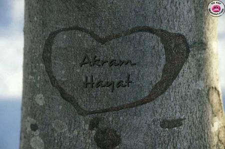 ilove hayat