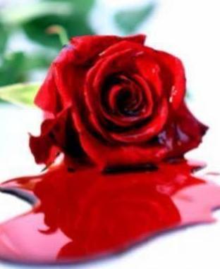 rose